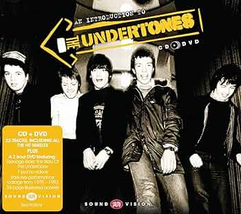 (未使用･未開封品)ストーリー・オブ・アンダートーンズ [DVD] 即決 国内DVD The Story of The UNDERTONES Teenage Kicks BVBM